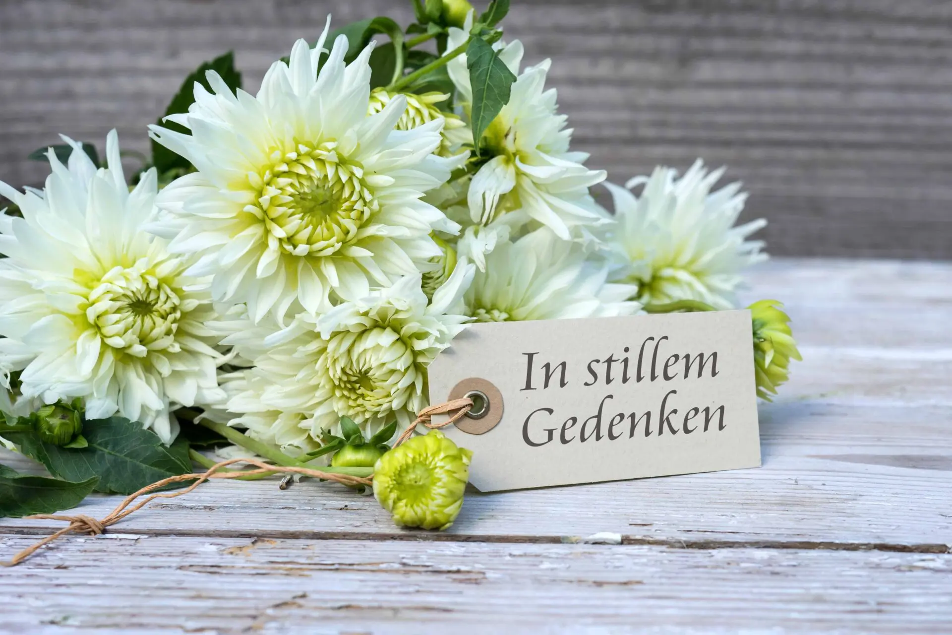 Trauerkarte schreiben älterer Mensch Trauerkarte schreiben älterer Mensch